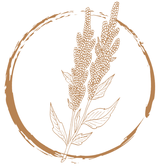p1_icon_04.png